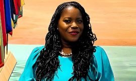 SKN Permanent Representative to the UN Panelist at UN Global Risk Report Launch