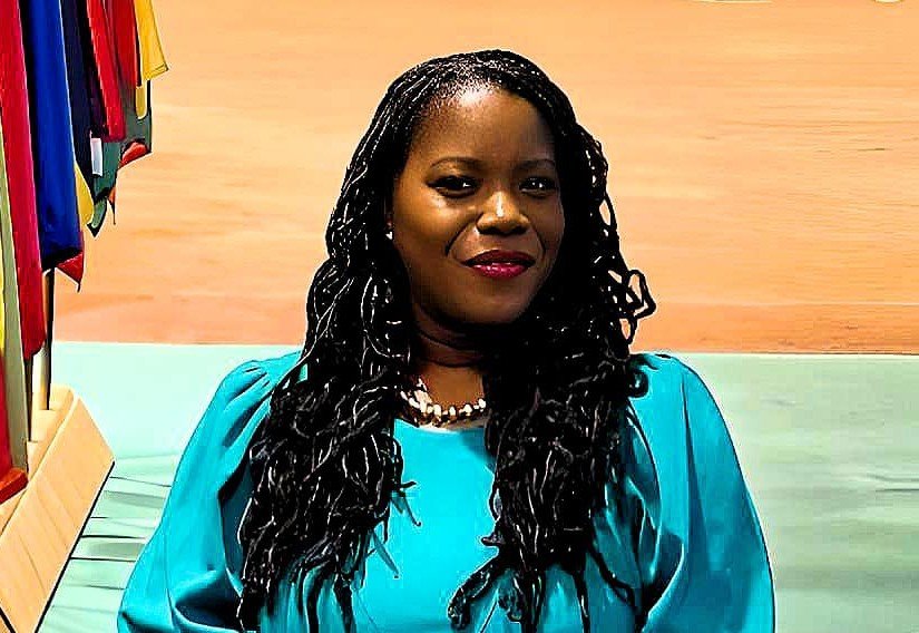 You are currently viewing SKN Permanent Representative to the UN Panelist at UN Global Risk Report Launch