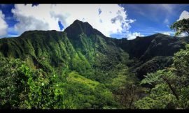 Missing Hiker Found Alive After Search on Mt. Liamuiga