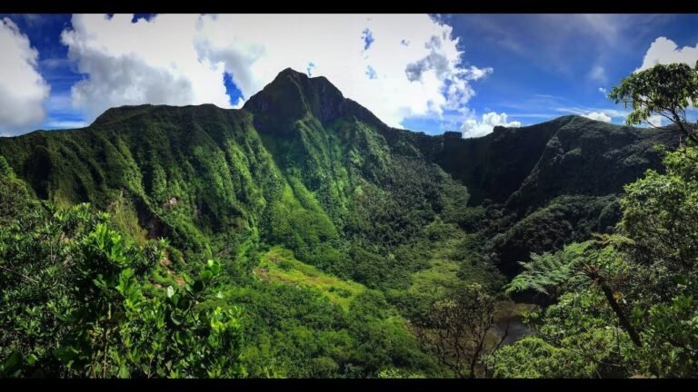 Read more about the article Missing Hiker Found Alive After Search on Mt. Liamuiga