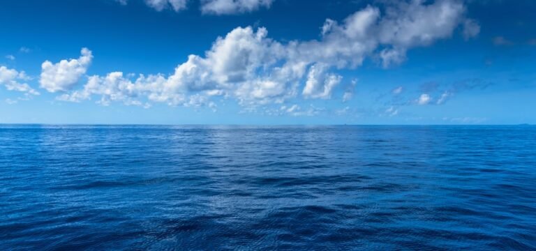 Read more about the article Bath Village Fishermen found alive at sea