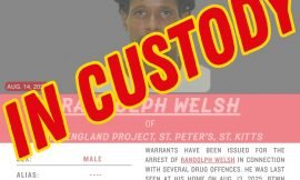 Wanted Man in Custody