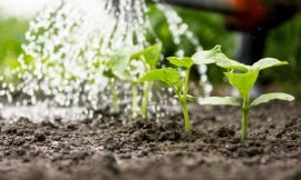 Boosting Agriculture Through Smarter Water Management
