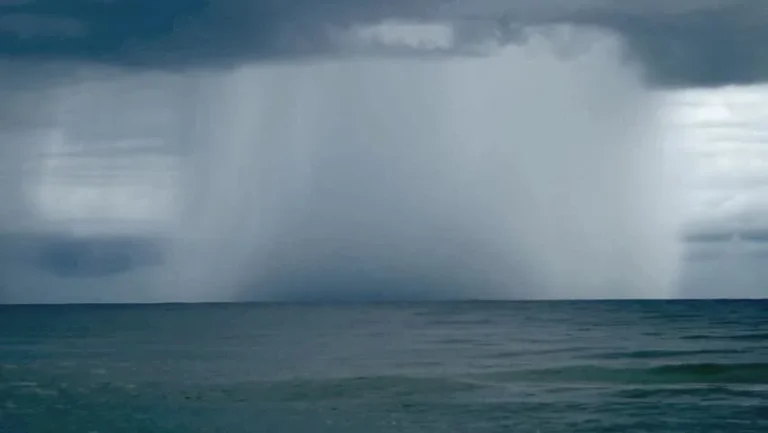 Read more about the article “Tropical Wave expected to move into our area by Friday”, Met officials say