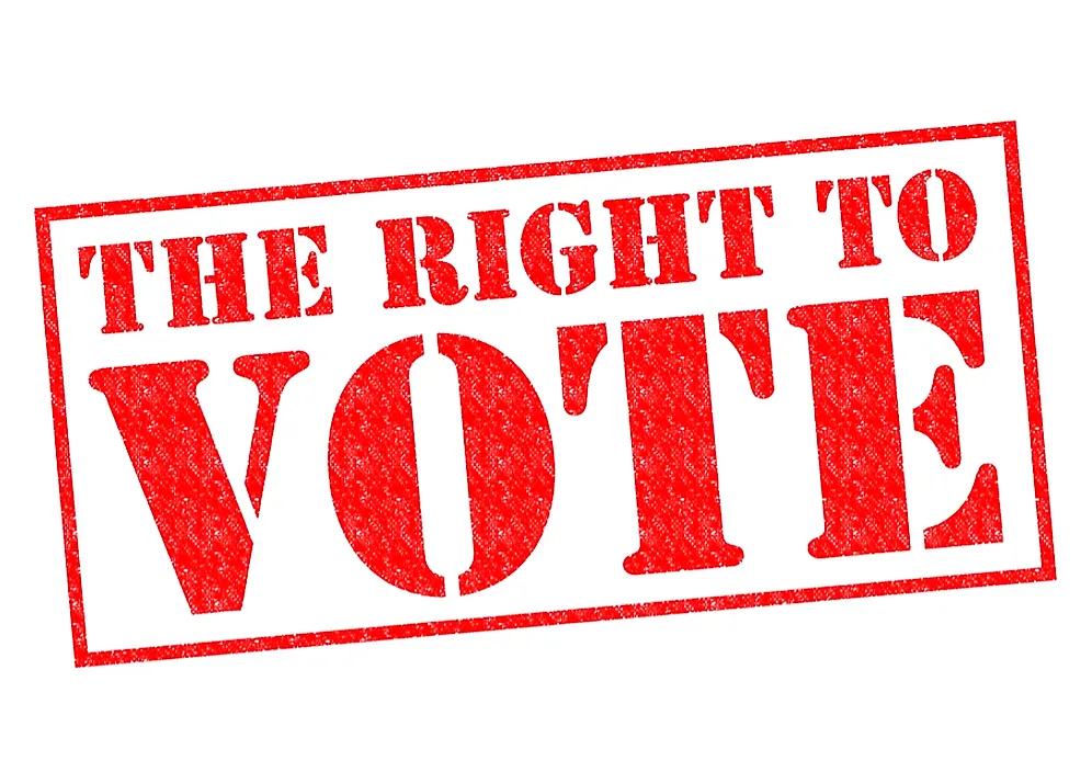 You are currently viewing “Skin in the Game” – Should All Diaspora Nationals Have Voting Rights?