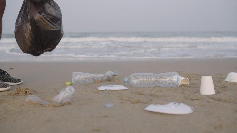 Read more about the article 33rd annual coastal cleanup slated Sep. 20th