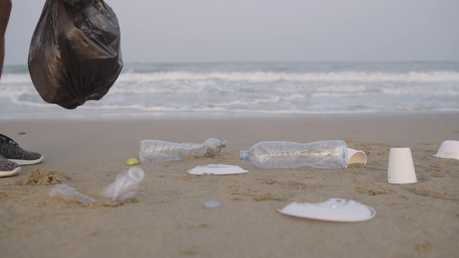 You are currently viewing 33rd annual coastal cleanup slated Sep. 20th