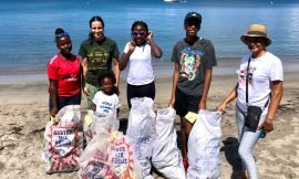 Littering will continue “until the public is fined for breaking the law” Coordinator of coastal cleanup says