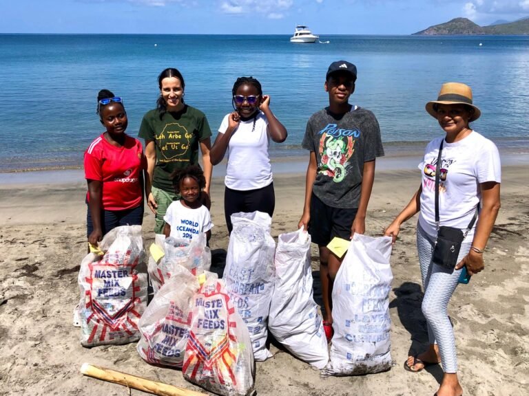 Read more about the article Littering will continue “until the public is fined for breaking the law” Coordinator of coastal cleanup says