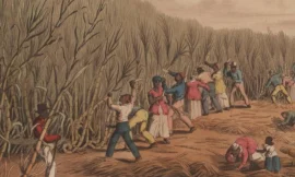 PM Drew Reveals UK Company’s Willingness to Pay Reparations for Slavery in SKN