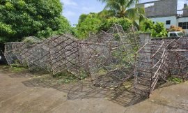 Fish Pot Making Workshop Promotes Community and Sustainability