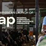 SKN Government to launch REAP to Provide Insurance Safety Net for Farmers and Fishers