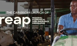 SKN Government to launch REAP to Provide Insurance Safety Net for Farmers and Fishers