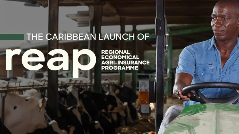 Read more about the article SKN Government to launch REAP to Provide Insurance Safety Net for Farmers and Fishers