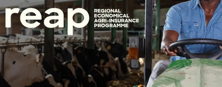 Read more about the article New Agri-Insurance Programme Promises Faster Relief for Farmers and Fishers