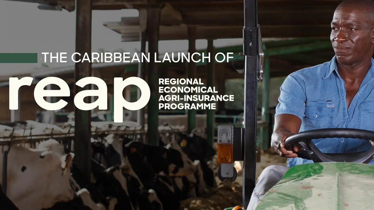 You are currently viewing SKN Government to launch REAP to Provide Insurance Safety Net for Farmers and Fishers