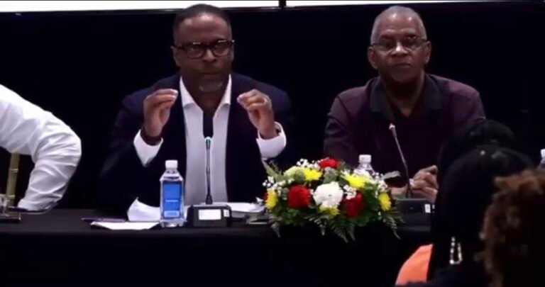 Read more about the article Two other entities “would have an interest in establishing a special zone on Nevis”, Premier says