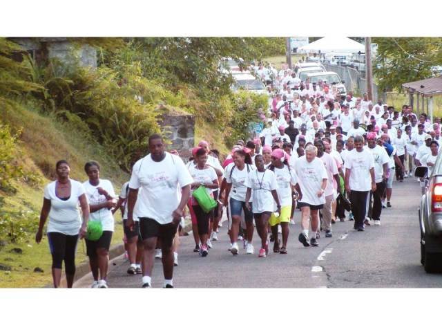 Read more about the article Pink Lily Cancer Care’s walk scheduled for Nov. 1st