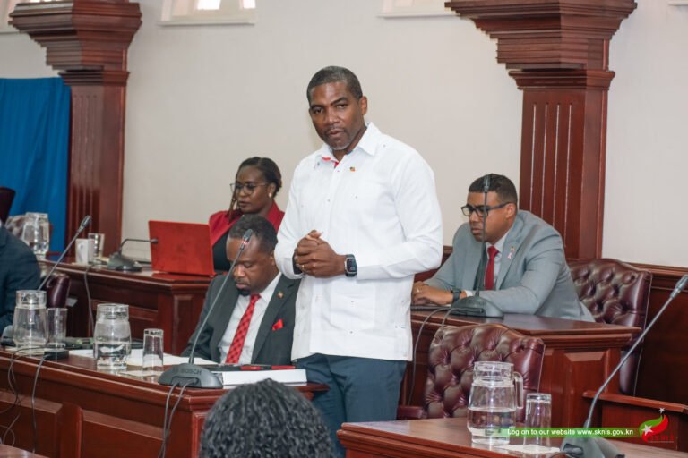 Read more about the article ECCIRA Bill 2025 successfully passed in the National Assembly