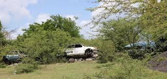 Read more about the article NSWMA announces Vehicle Disposal Amnesty Programme