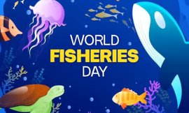 St. Kitts and Nevis Marks World Fisheries Day with Call for Sustainable Seas