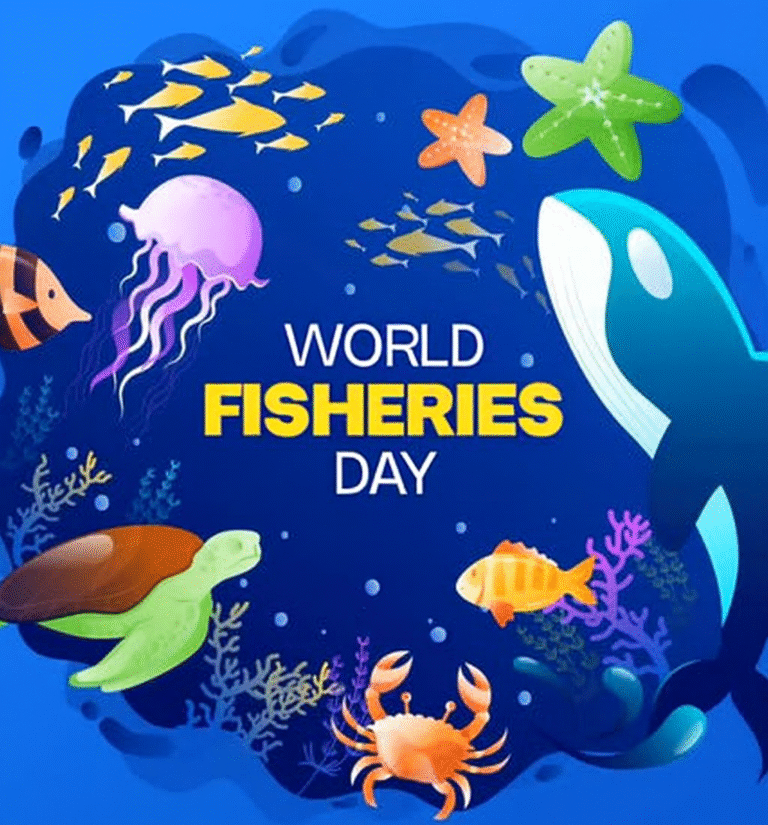 Read more about the article St. Kitts and Nevis Marks World Fisheries Day with Call for Sustainable Seas