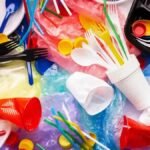 Federation Completes Three-Phase Rollout of Single-Use Plastic Ban