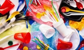 Federation Completes Three-Phase Rollout of Single-Use Plastic Ban
