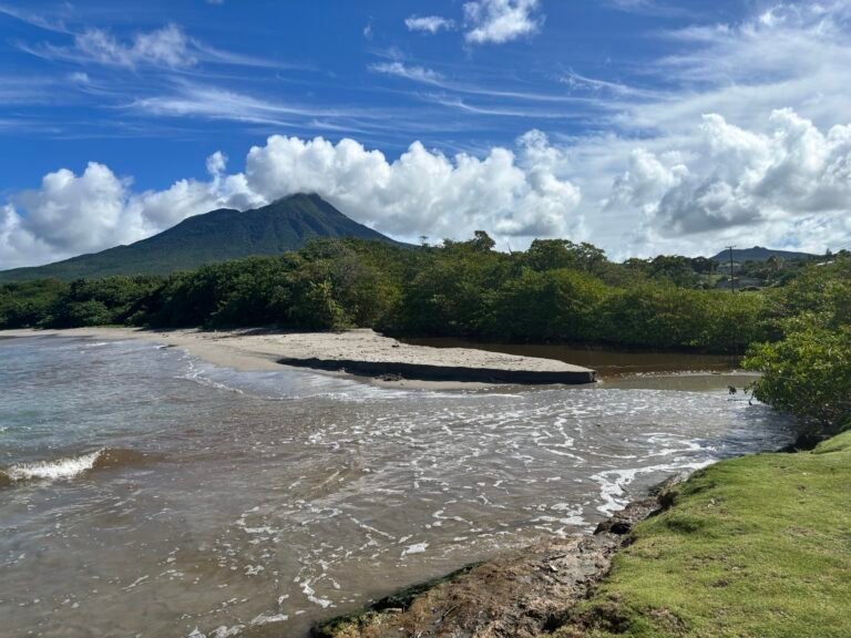 Read more about the article NHCS receives 2025 Judith Towle Environmental Grant