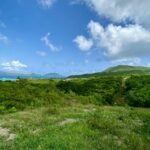 Hundreds of land issues resolved in St. Kitts