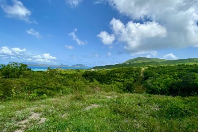 Read more about the article Hundreds of land issues resolved in St. Kitts