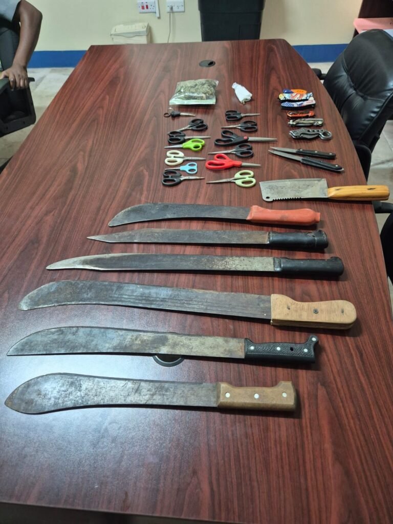 Read more about the article RSCNPF Reports Successful Jouvert Operations