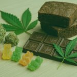 Medicinal vs. Recreational Cannabis: Expert explains Distinction