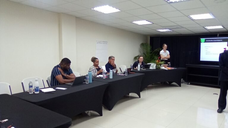 Read more about the article Stakeholders Meet to Finalize Nevis’ Waste Management Strategy