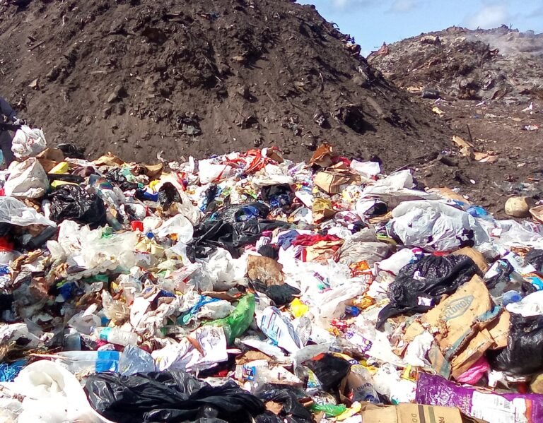 Read more about the article Nevis’ Premier addresses Long Point Landfill smoke issue