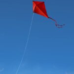 Several winners at 36th edition of SJCIC Kite Flying Competition