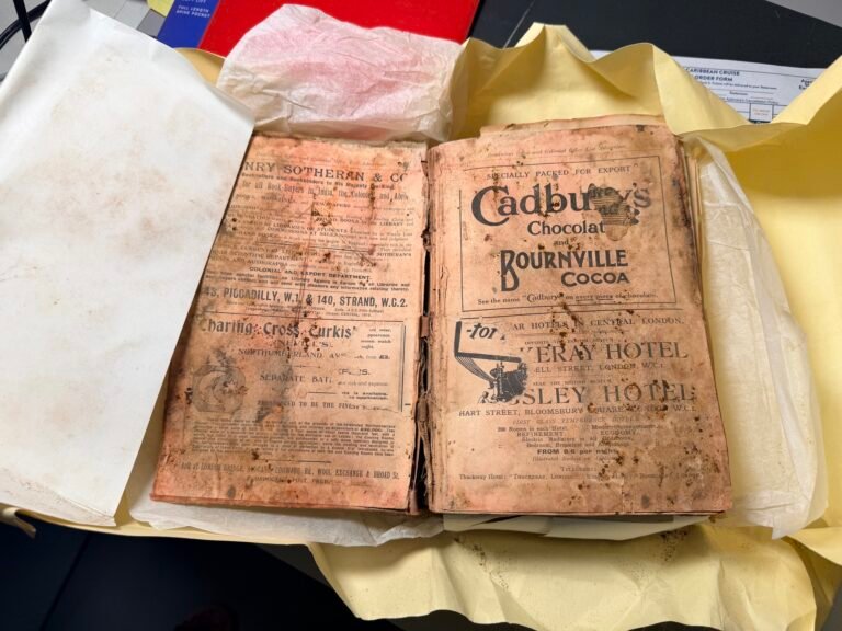 Read more about the article Nevis Secures US$52,000 to Digitize and Preserve National Archives