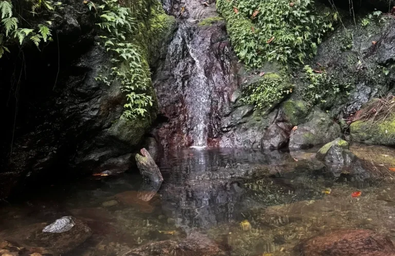 Read more about the article Water Project Aims to Improve Supply on Nevis