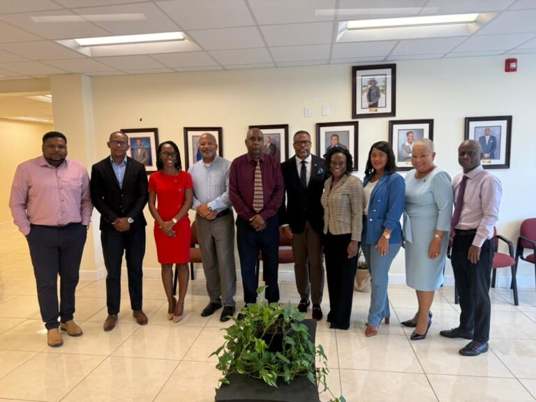 Read more about the article Human Security Secretariat engages NIA on national safety and wellbeing initiatives