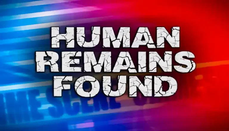Read more about the article Discovery of human remains under investigation
