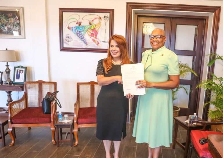 Read more about the article GG Liburd receives credentials from Ambassador-Designates