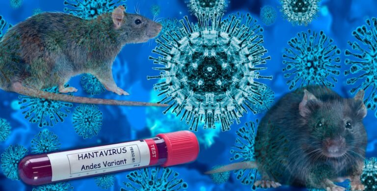 Read more about the article Ministry of Health: No Evidence of Hantavirus; Federation urged to remain calm as Risk remains low