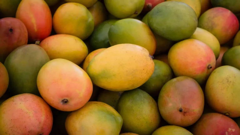 Read more about the article 2026 Mango Festival “75%” ready, says NTA’s Official