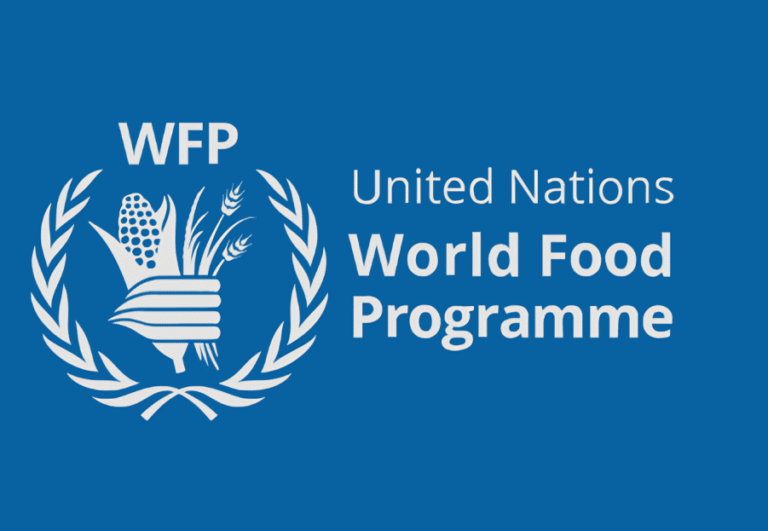 Read more about the article WFP technical mission pays courtesy call on Federal Gov’t