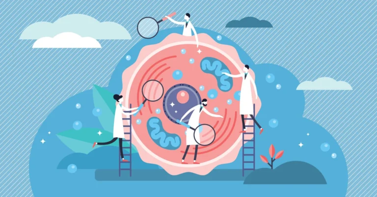 Read more about the article Health professionals discusses weight loss and cellular health