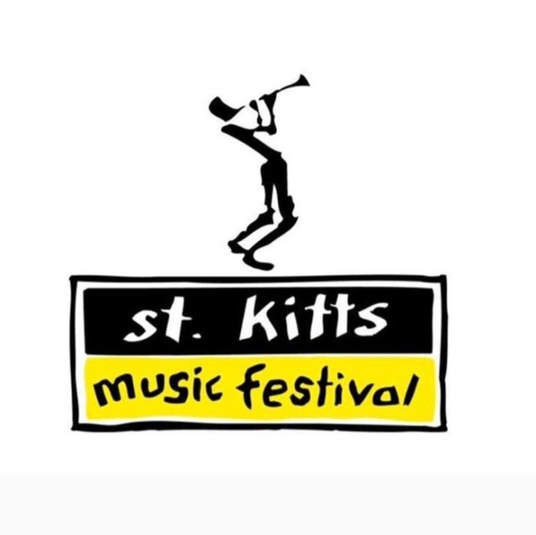Read more about the article “No policy in place to restrict under-18s from attending Music Festival”, Tourism PS says