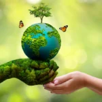 Federation Marks World Environment Day with Call for Climate Action