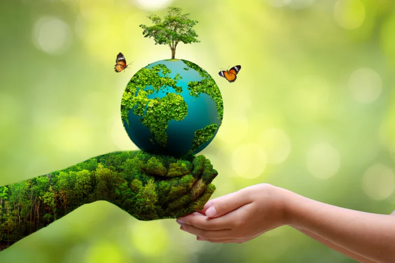 Read more about the article Federation Marks World Environment Day with Call for Climate Action