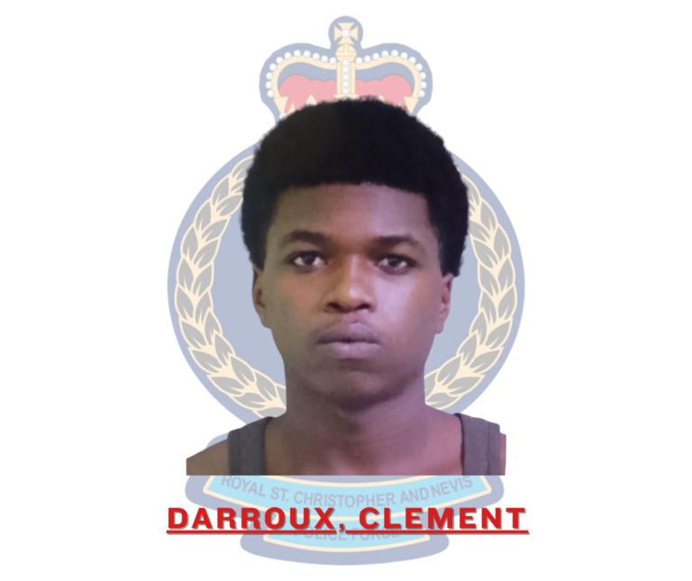 Read more about the article One man sentenced to over 12 years in prison for firearm offences
