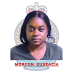 Woman fined for obtaining money under false pretences